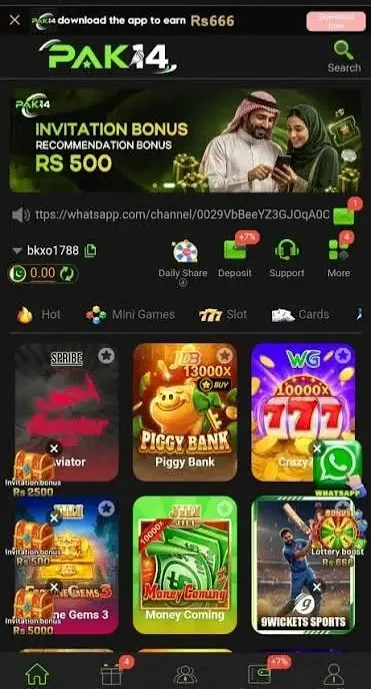PAk14 Game